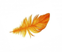 feather 290 deg