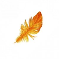 feather 45 deg